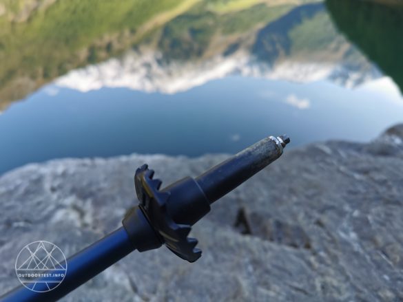 LEKI Micro Vario Carbon