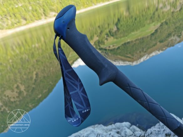 LEKI Micro Vario Carbon