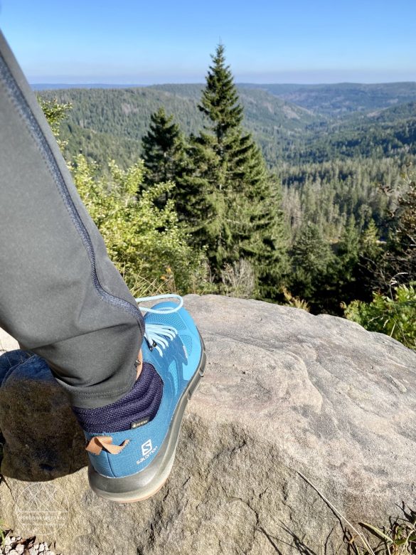 Salomon Predict Hike Mid Gore-Tex