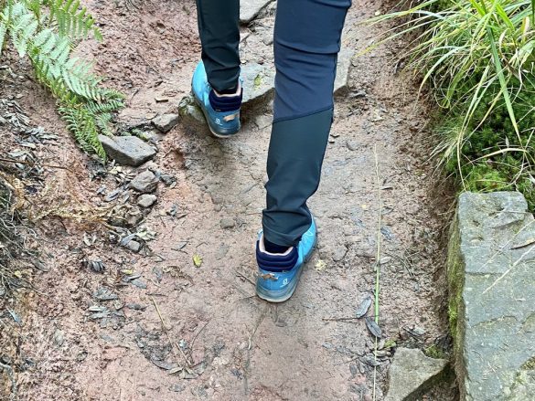 Salomon Predict Hike Mid Gore-Tex