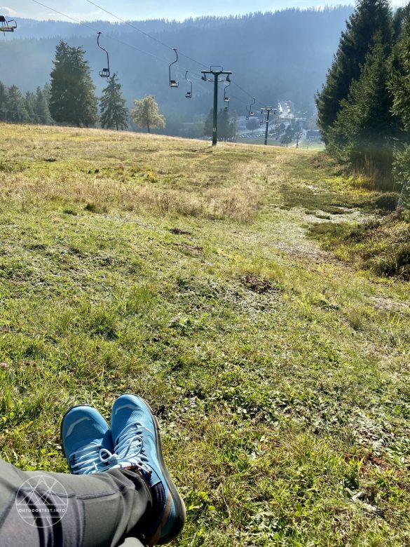 Salomon Predict Hike Mid Gore-Tex