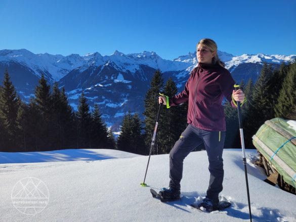 Black Diamond Element Hoody - Womens