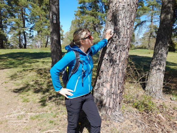 Giesswein Merino Sport Kapuzenjacke