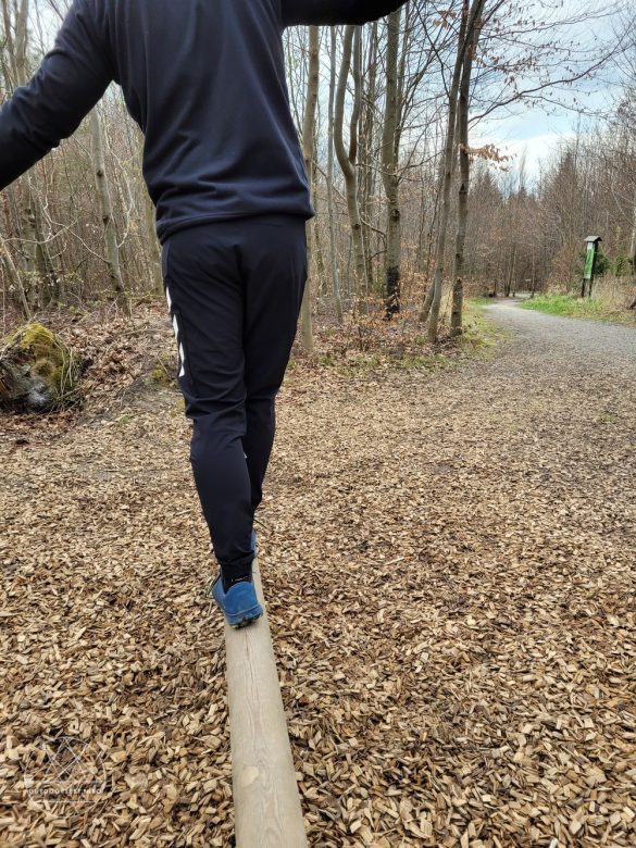 adidas TERREX Agravic Hybrid Trailrunning-Hose