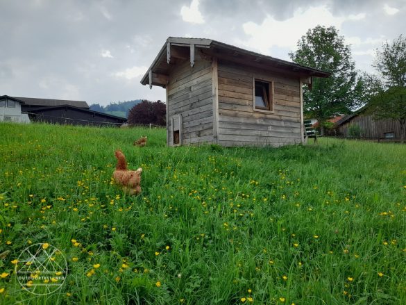 Reisebericht Alpzitt Chalet-Dorf