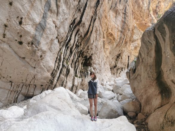 Columbia Benton Springs Half Snap™ Pullover für Frauen