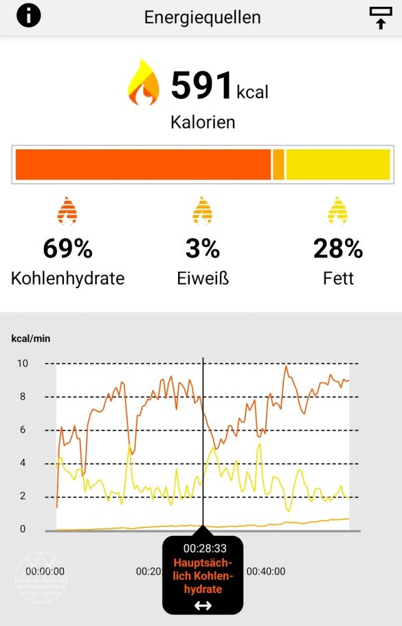 Polar Ignite 2 mit Wechselarmband