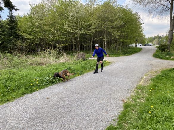 Powerslide Next Outback 150