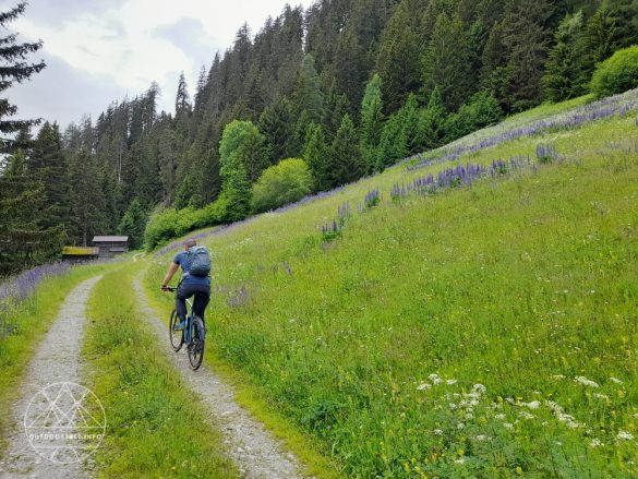 Reisebericht: DAS SeeMOUNT – Active Nature Resort inmitten der wilden Berglandschaft des Paznauntals