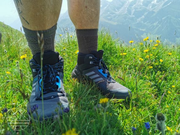 adidas Terrex Swift R3 Mid GTX