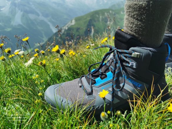 adidas Terrex Swift R3 Mid GTX