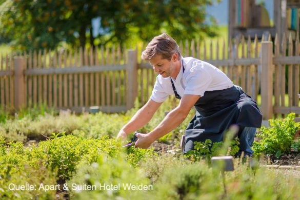 Reisebericht über die Region Schladming-Dachstein im Weiden – Niederl`s Apart & Suiten Hotel