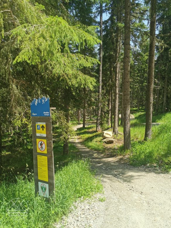 Reisebericht über die Region Schladming-Dachstein im Weiden – Niederl`s Apart & Suiten Hotel