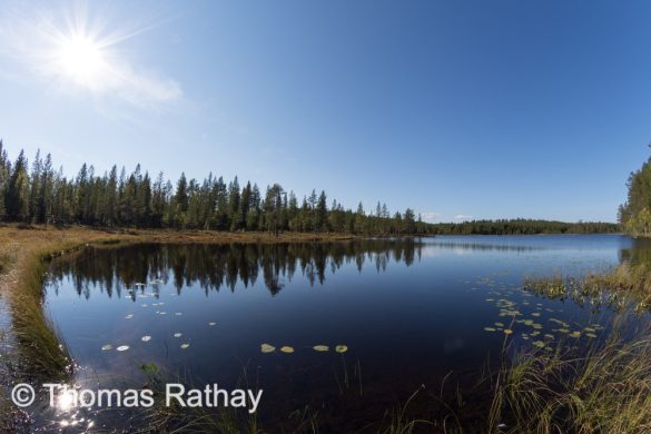 Interview Thomas Rathay - Fotokurs / Outdoorcooking