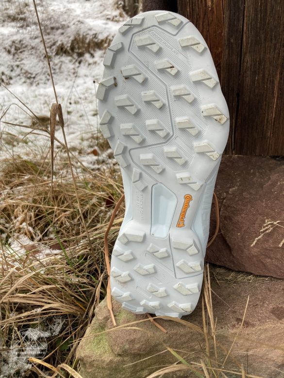 adidas Terrex Swift R3 GTX