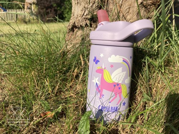 Camelbak Eddy+ Kinder SST Vacuum Insulated Bottle 350ml