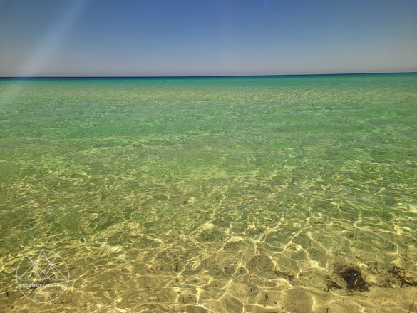 Julbo Renegade Spectron Polarized 3