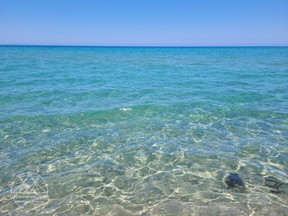 Julbo Renegade Spectron Polarized 3