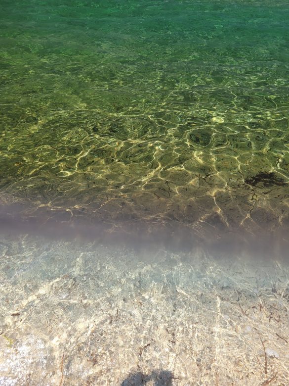 Julbo Renegade Spectron Polarized 3