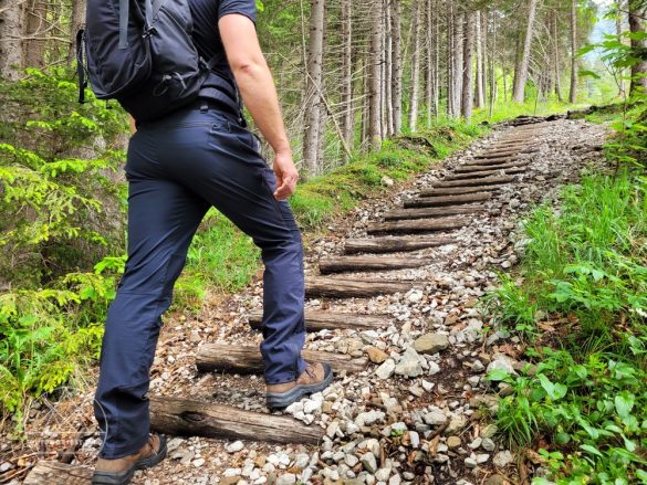 Montane Terra Stretch Pants