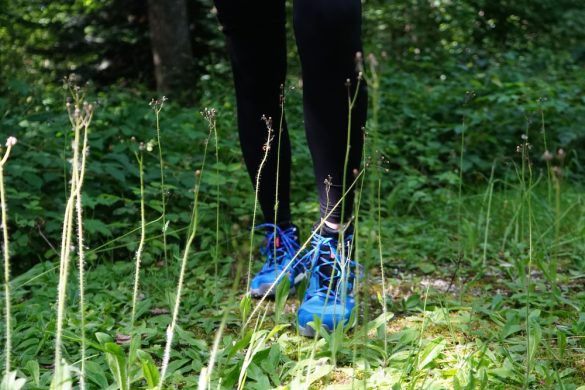 adidas Terrex Skychaser 2 MID GORE-TEX Wanderschuh