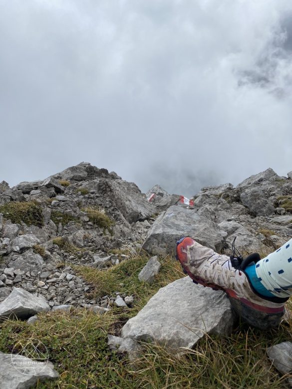 Salomon Speedcross 6