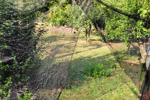 Brettschneider Moskitonetz Lodge Terrazzo