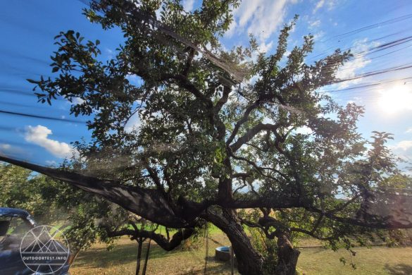 Brettschneider Moskitonetz Lodge Terrazzo