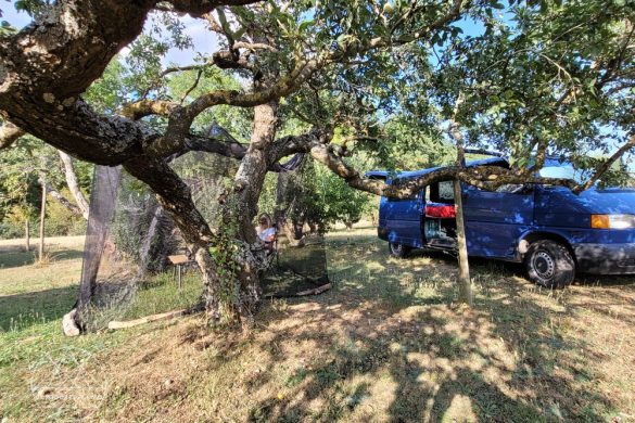 Brettschneider Moskitonetz Lodge Terrazzo