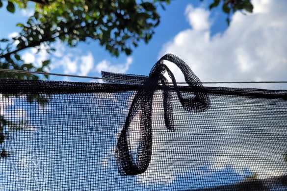 Brettschneider Moskitonetz Lodge Terrazzo