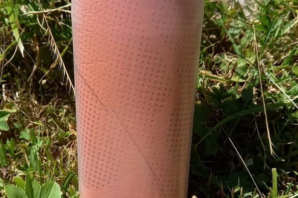 Camelbak Peak Chill 0,5 Liter Trinkflasche