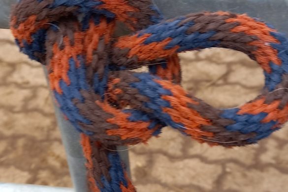 Nachgelesen: Knotenbuch von Dieter Großelohmann & Manuela Dastig