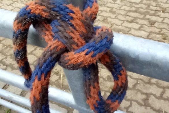 Nachgelesen: Knotenbuch von Dieter Großelohmann & Manuela Dastig