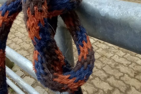 Nachgelesen: Knotenbuch von Dieter Großelohmann & Manuela Dastig