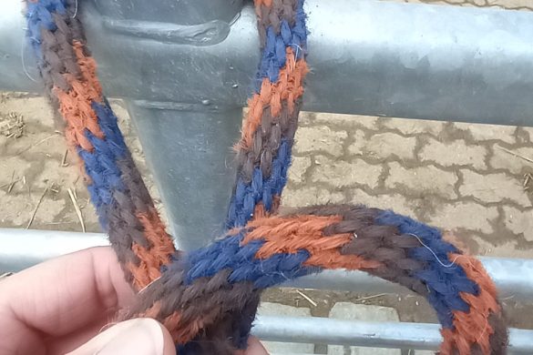 Nachgelesen: Knotenbuch von Dieter Großelohmann & Manuela Dastig