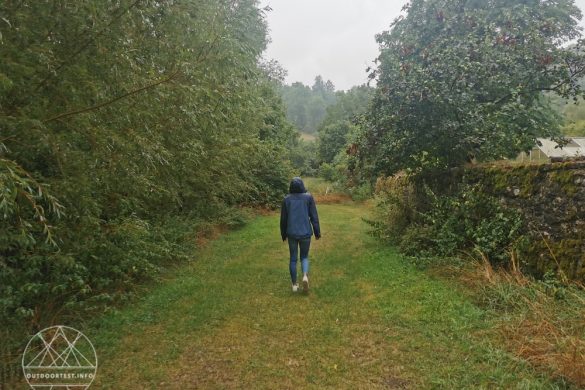 Salomon Outline GTX 2.5L JKT W