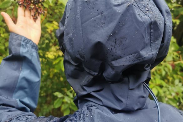 Salomon Outline GTX 2.5L JKT W