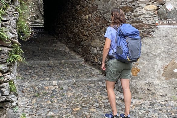 Aclima Classic Woman Tee Woodprints