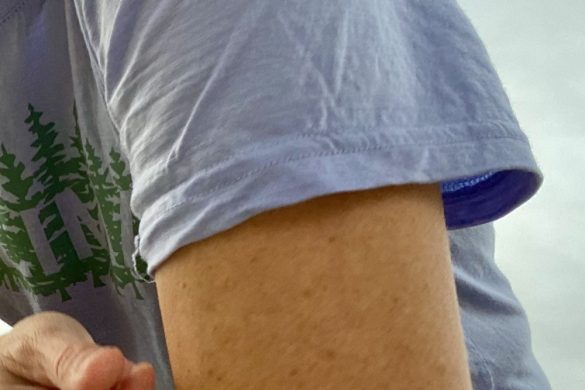 Aclima Classic Woman Tee Woodprints