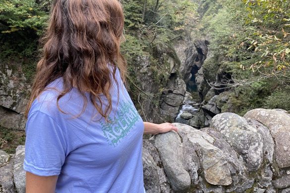 Aclima Classic Woman Tee Woodprints