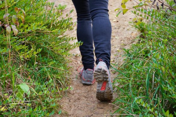 AKU Alterra Light GTX Ws