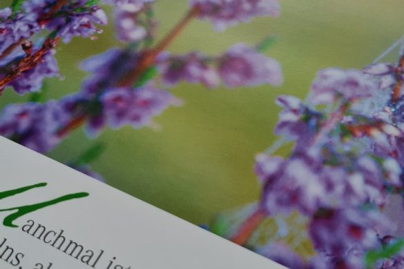 Athesia Kalenderverlag – Natural Zen Kalender 2023