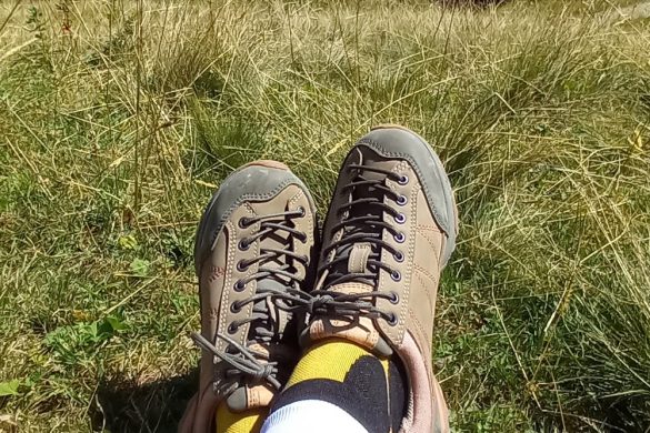 Doghammer Guide Rock Vegan WP