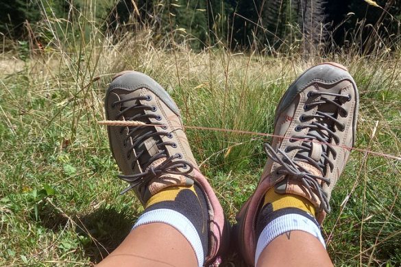 Doghammer Guide Rock Vegan WP