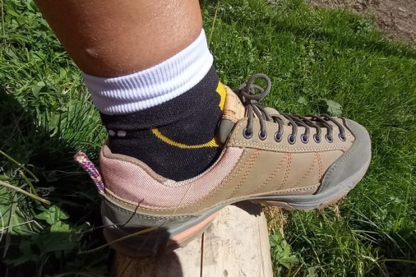 Doghammer Guide Rock Vegan WP