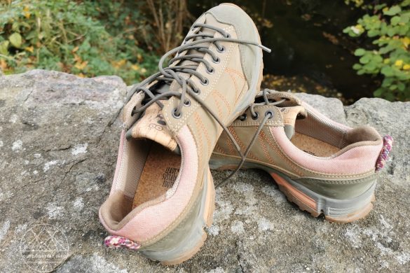 Doghammer Guide Rock Vegan WP