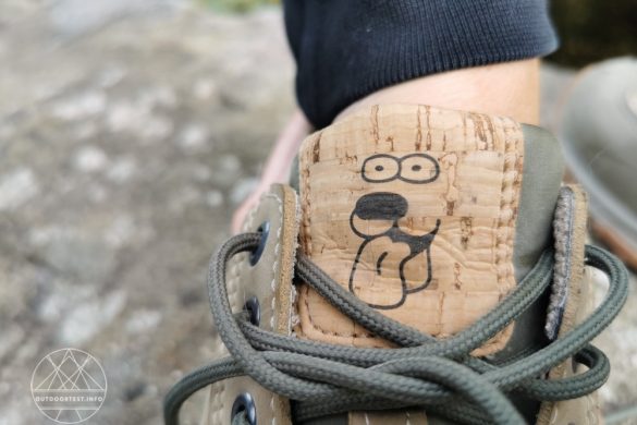 Doghammer Guide Rock Vegan WP