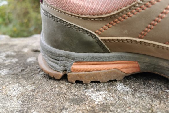 Doghammer Guide Rock Vegan WP