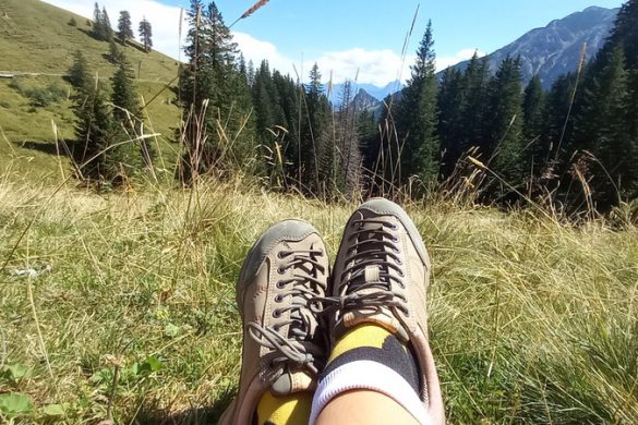 Doghammer Guide Rock Vegan WP