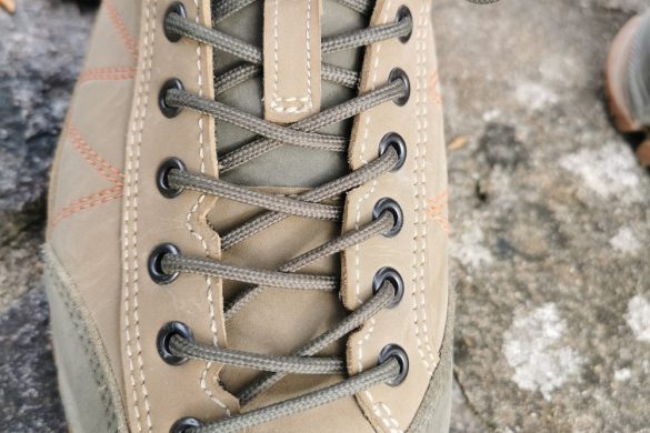 Doghammer Guide Rock Vegan WP